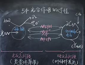 微信图片_20250325092740.png